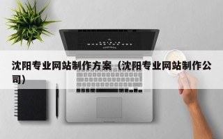 南京沈阳专业网站制作方案（沈阳专业网站制作公司）